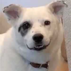 Meet your Posher, Avery